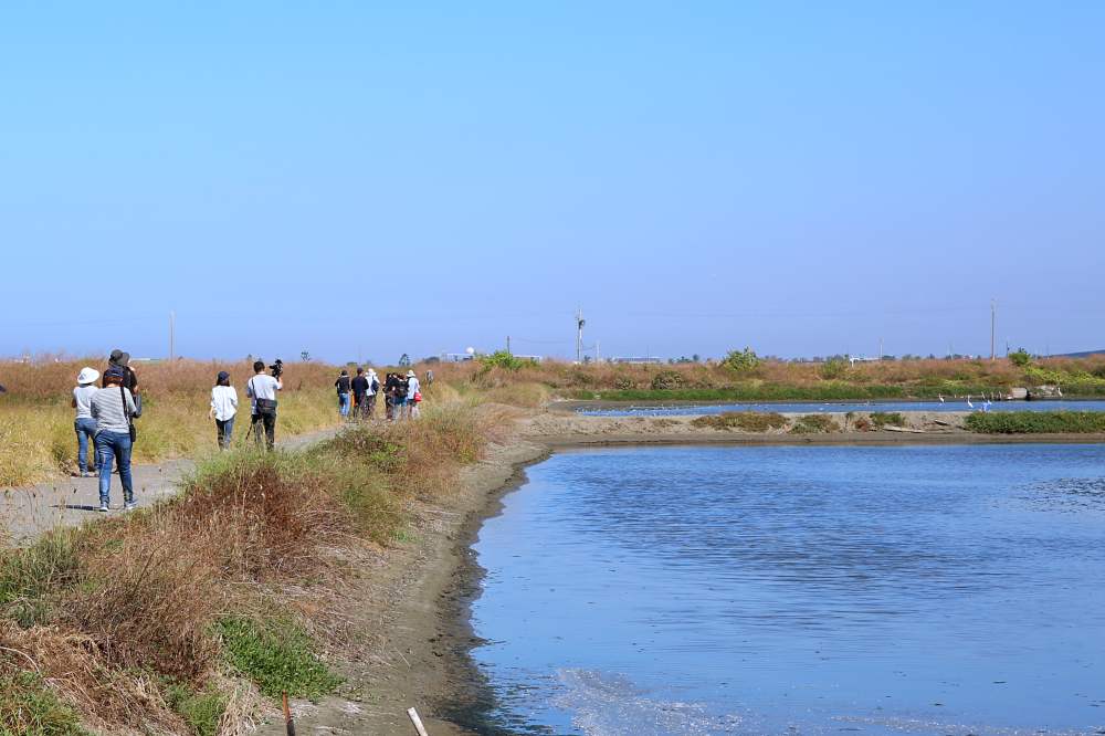 台南七股冬季限定小旅行-魚見嬌客 秘點賞黑琵+友善養殖海鮮大餐 半日深度遊發現台灣好美