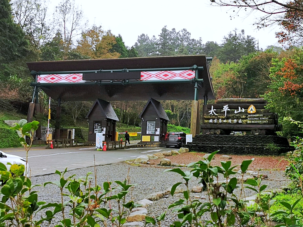 太平山森林遊樂區 如仙境的世外桃源 最美見晴步道 薄霧中的翠峰湖