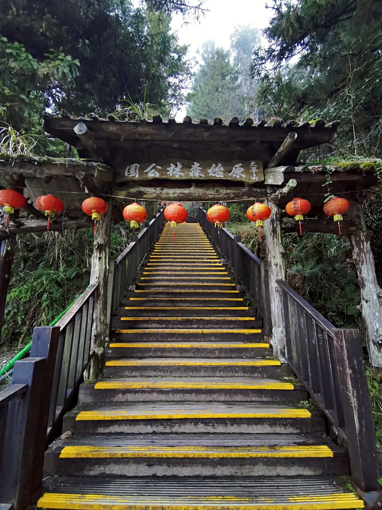 太平山森林遊樂區 如仙境的世外桃源 最美見晴步道 薄霧中的翠峰湖