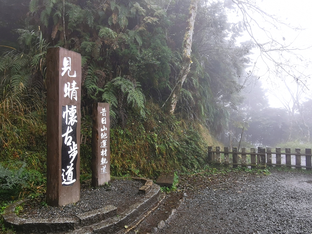 太平山森林遊樂區 如仙境的世外桃源 最美見晴步道 薄霧中的翠峰湖