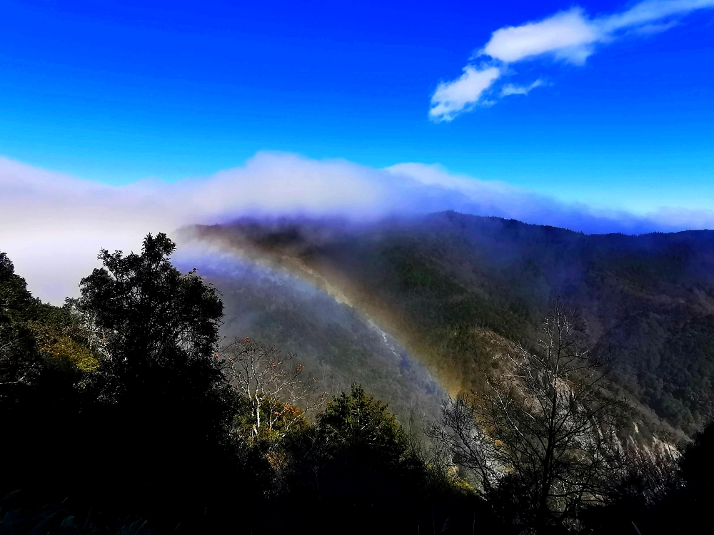 太平山森林遊樂區 如仙境的世外桃源 最美見晴步道 薄霧中的翠峰湖