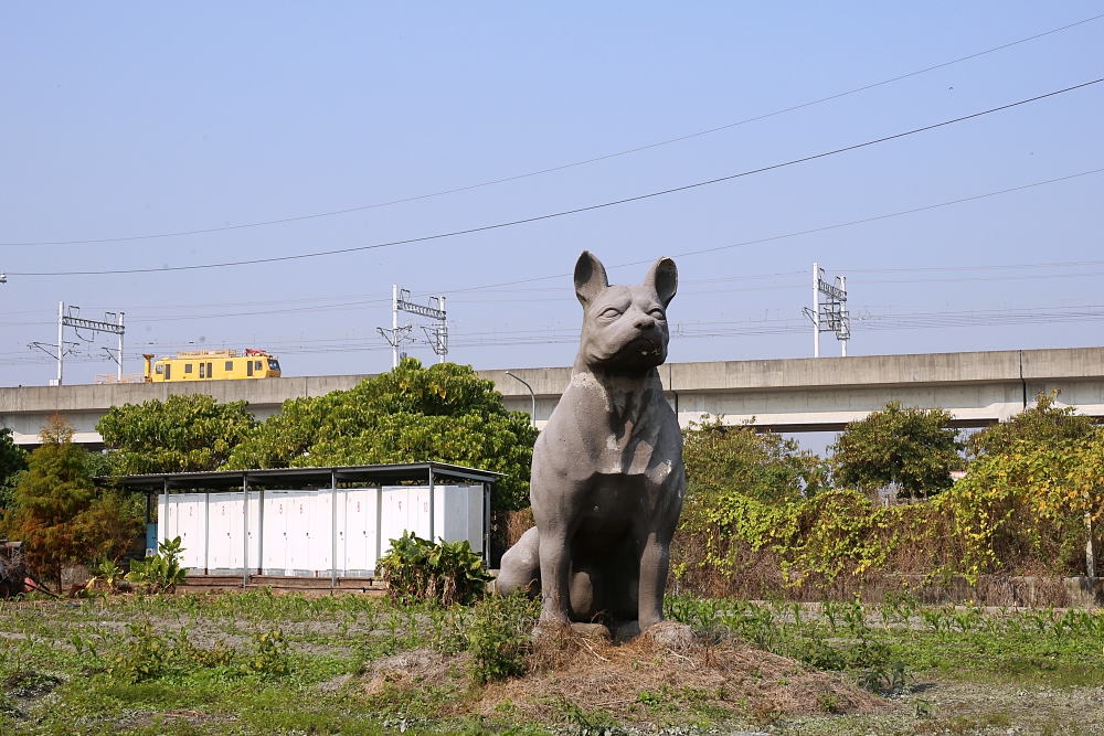 2021最壯觀蜀葵花海就在田中窯！來田中窯創意園區拍照賞花玩貓吃窯烤麵包 甕仔雞想吃請預約