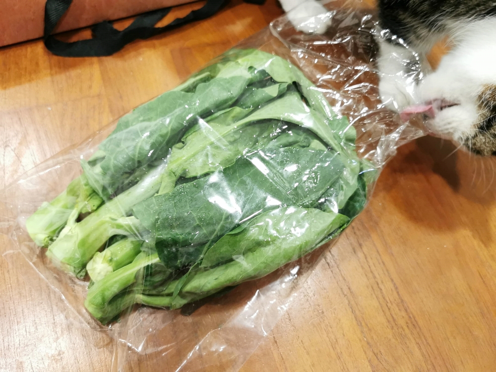 追著菜車買菜去！產地直送路邊交貨 不用上市場也能買到新鮮蔬果