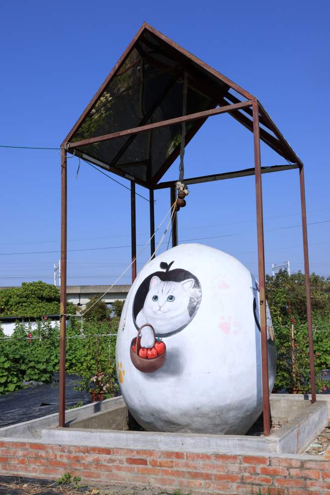 田中窯蜀葵花海開跑！30隻貓咪園中穿梭，還有台版巨型魷魚遊戲人偶，彰化走春好去處