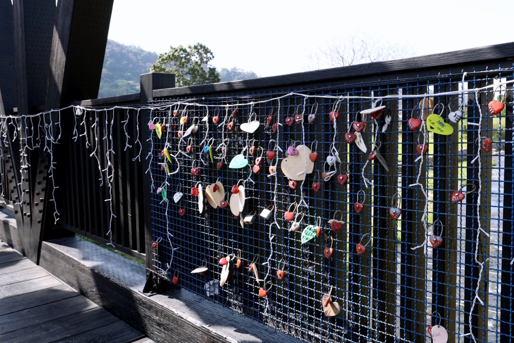 石岡鬱金香花展 上萬株繽紛綻放，中部走春免費景點