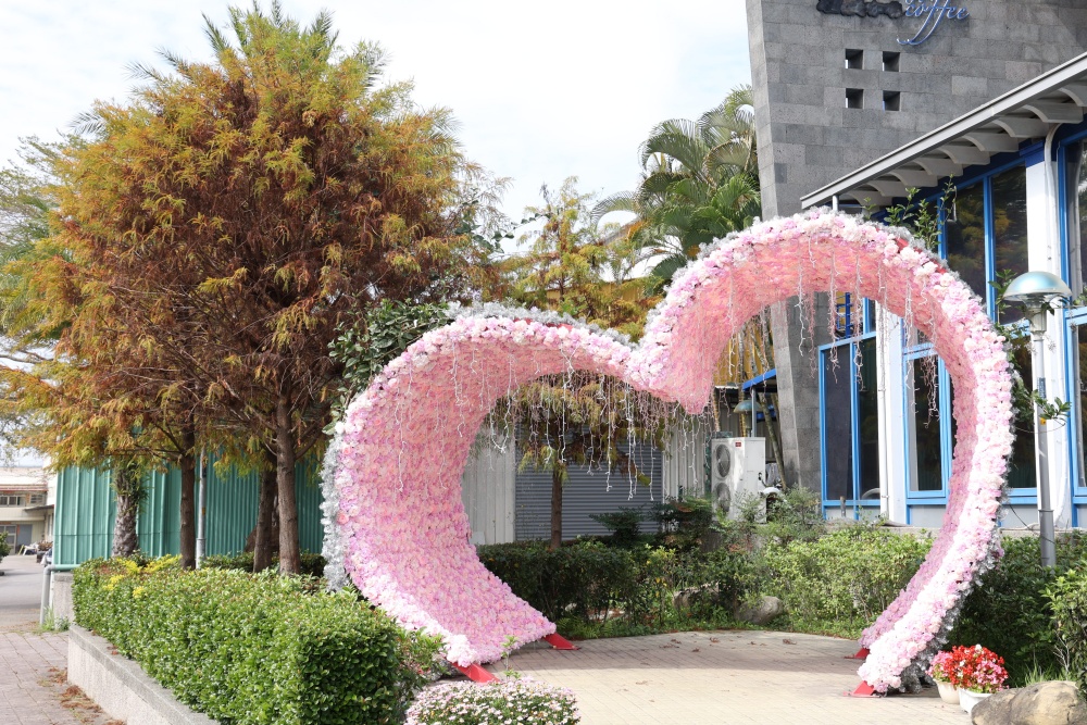 石岡鬱金香花展 上萬株繽紛綻放，中部走春免費景點