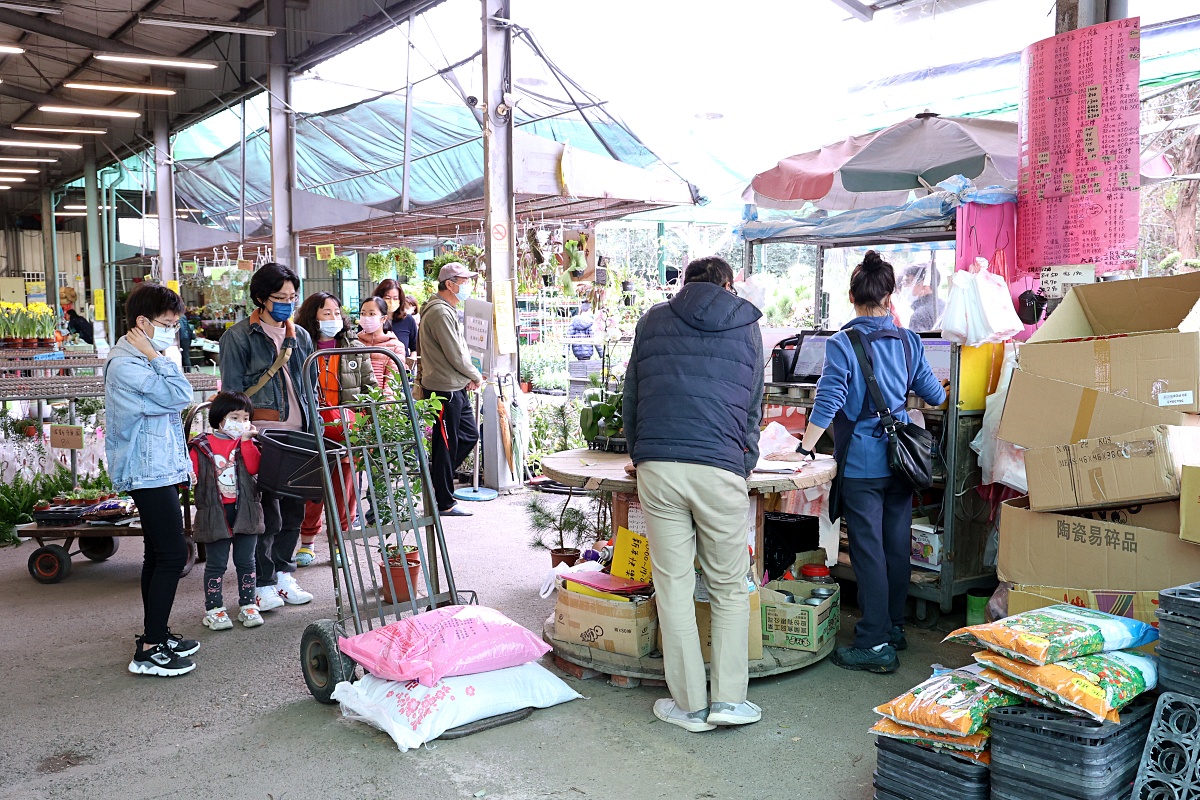 八角農園 | 台中市最好買花市沒有之一，小品盆栽5盆100元