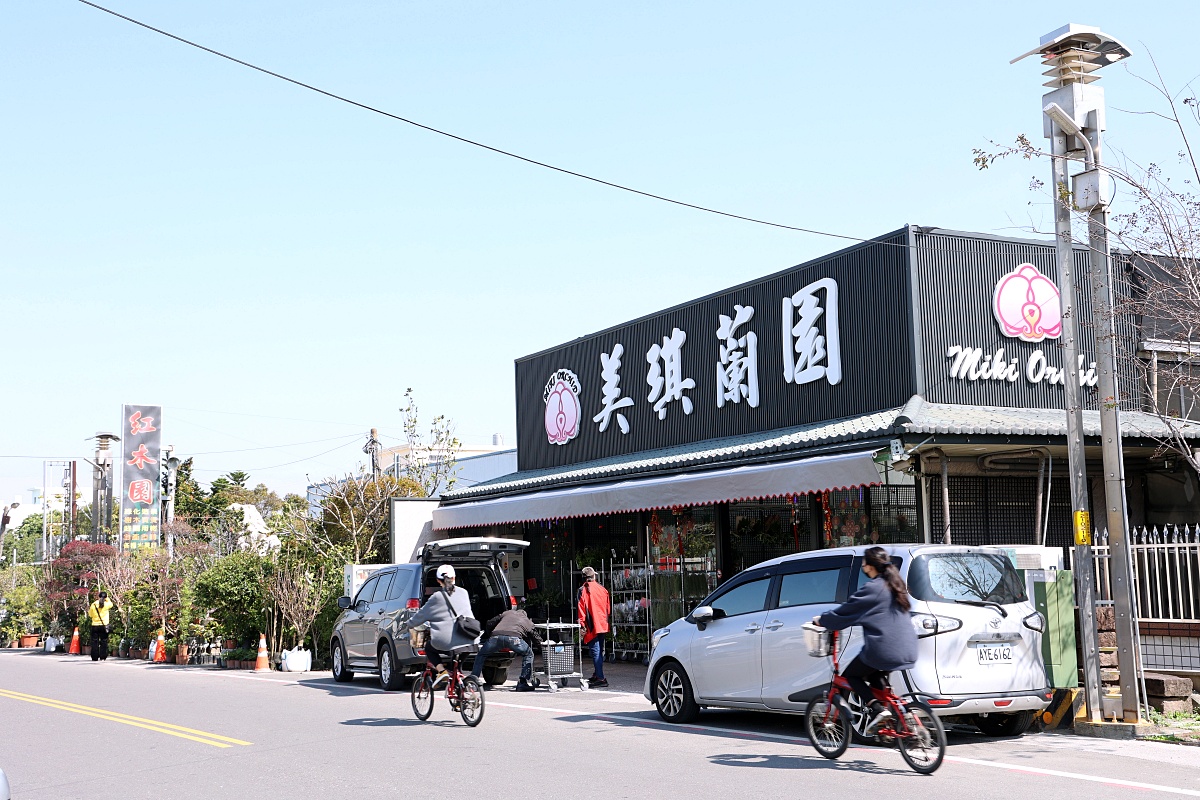 田尾公路花園必逛花店！美琪蘭園有滿滿觀葉植物，雨林植物、空氣鳳梨、鹿角蕨，逛到出不來！