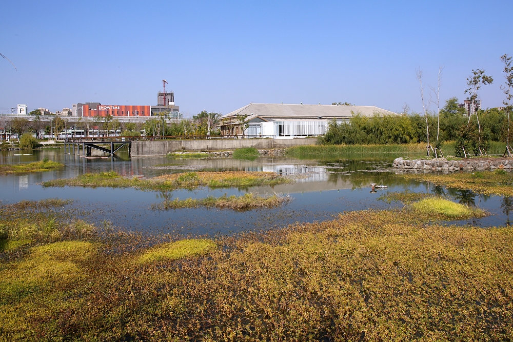 台中車站周邊景點 帝國製糖廠湧泉公園，台中萬坪大公園裡的日本歷史建築