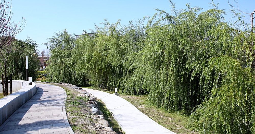 台中車站周邊景點 帝國製糖廠湧泉公園，台中萬坪大公園裡的日本歷史建築