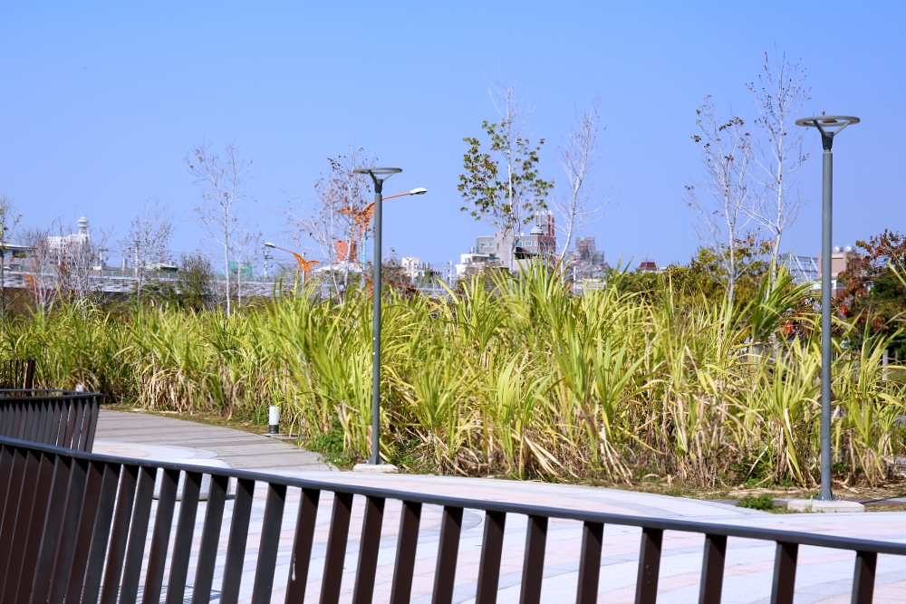 台中車站周邊景點 帝國製糖廠湧泉公園，台中萬坪大公園裡的日本歷史建築