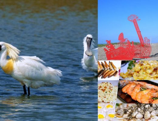 台南七股冬季限定小旅行-魚見嬌客 秘點賞黑琵+友善養殖海鮮大餐 半日深度遊發現台灣好美