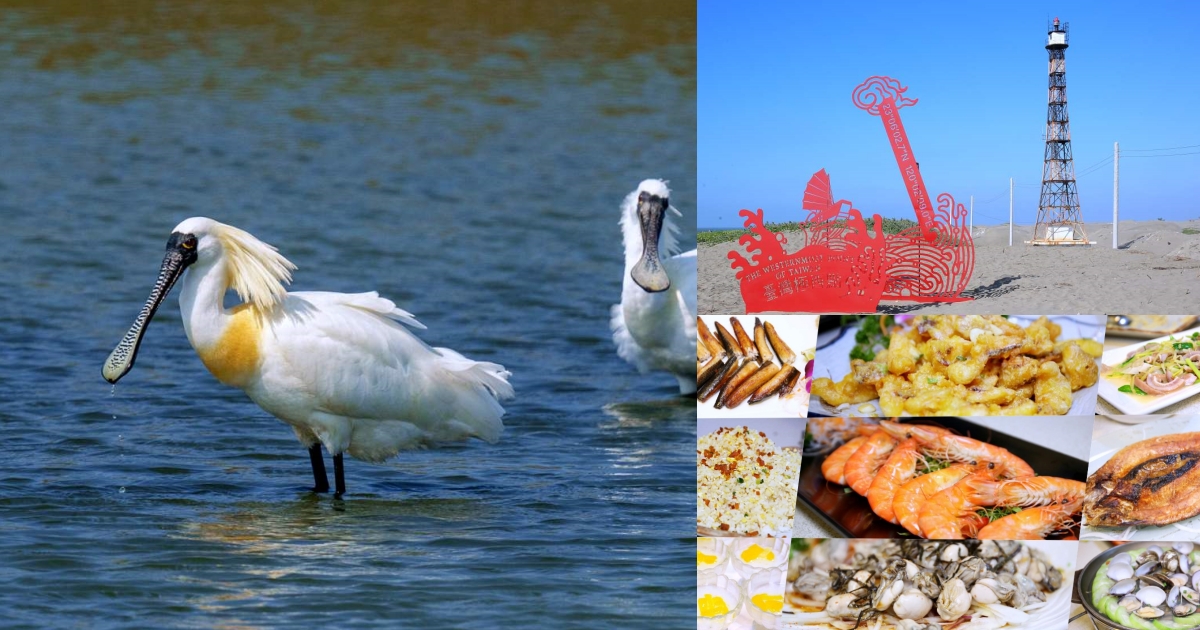 台南七股冬季限定小旅行-魚見嬌客 秘點賞黑琵+友善養殖海鮮大餐 半日深度遊發現台灣好美