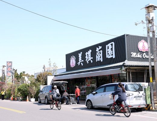 田尾公路花園必逛花店！美琪蘭園有滿滿觀葉植物，雨林植物、空氣鳳梨、鹿角蕨，逛到出不來！