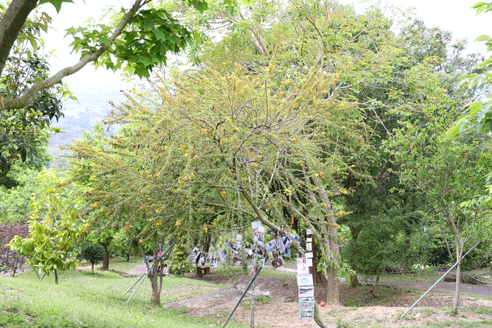 周家花園 森林系寵物安樂園 為生命畫下美麗句點