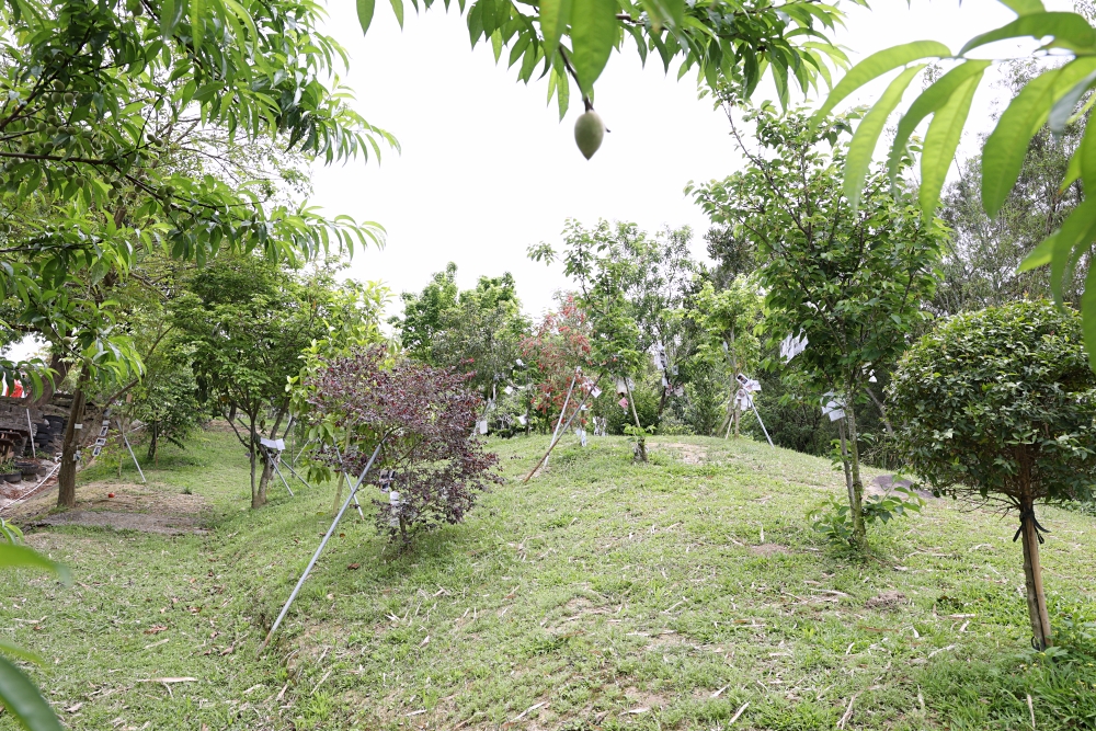 周家花園 森林系寵物安樂園 為生命畫下美麗句點