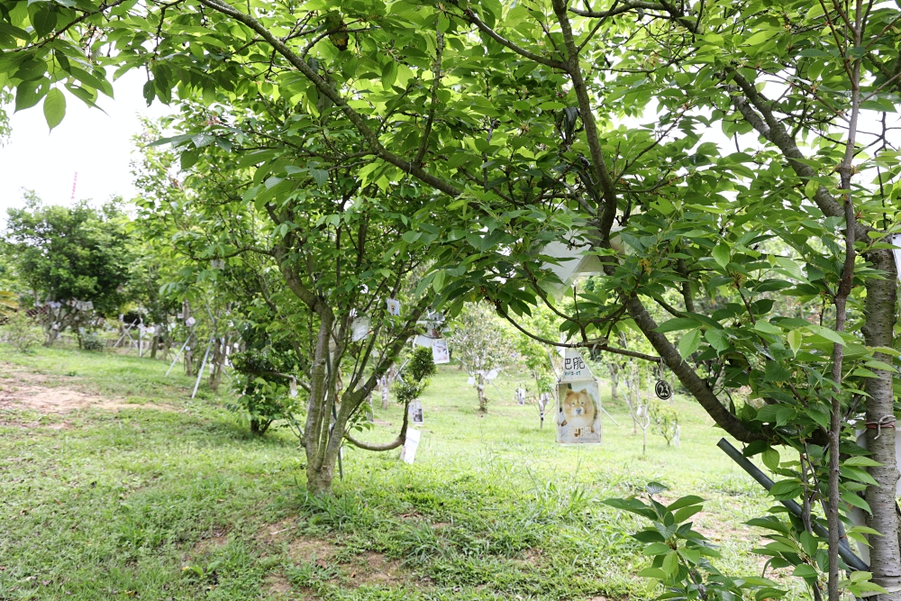 周家花園 森林系寵物安樂園 為生命畫下美麗句點