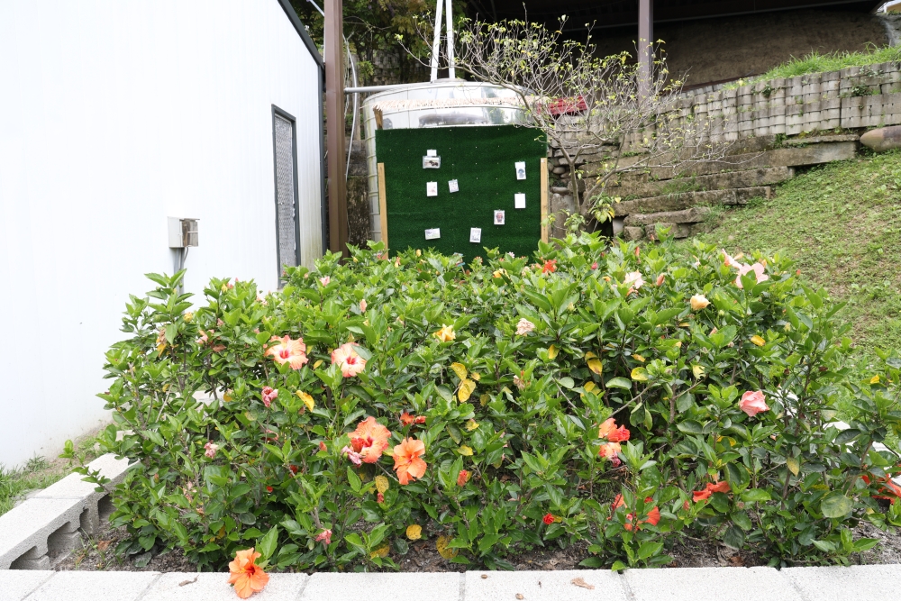 周家花園 森林系寵物安樂園 為生命畫下美麗句點