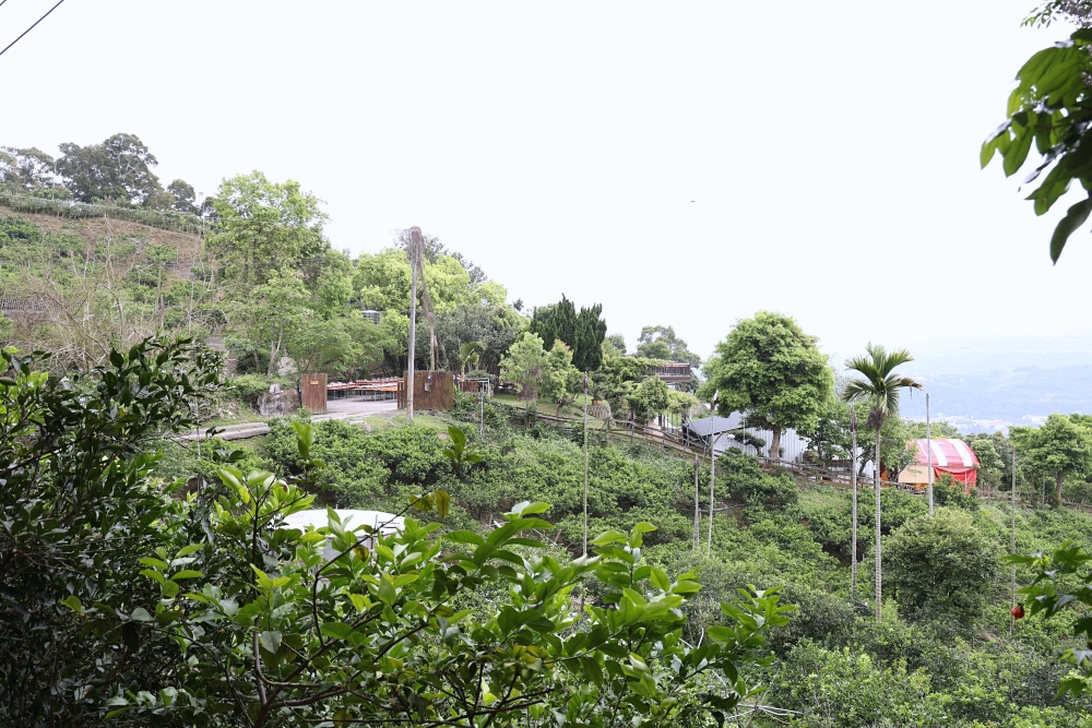 周家花園 森林系寵物安樂園 為生命畫下美麗句點