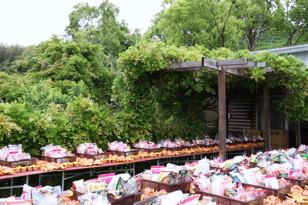 周家花園 森林系寵物安樂園 為生命畫下美麗句點