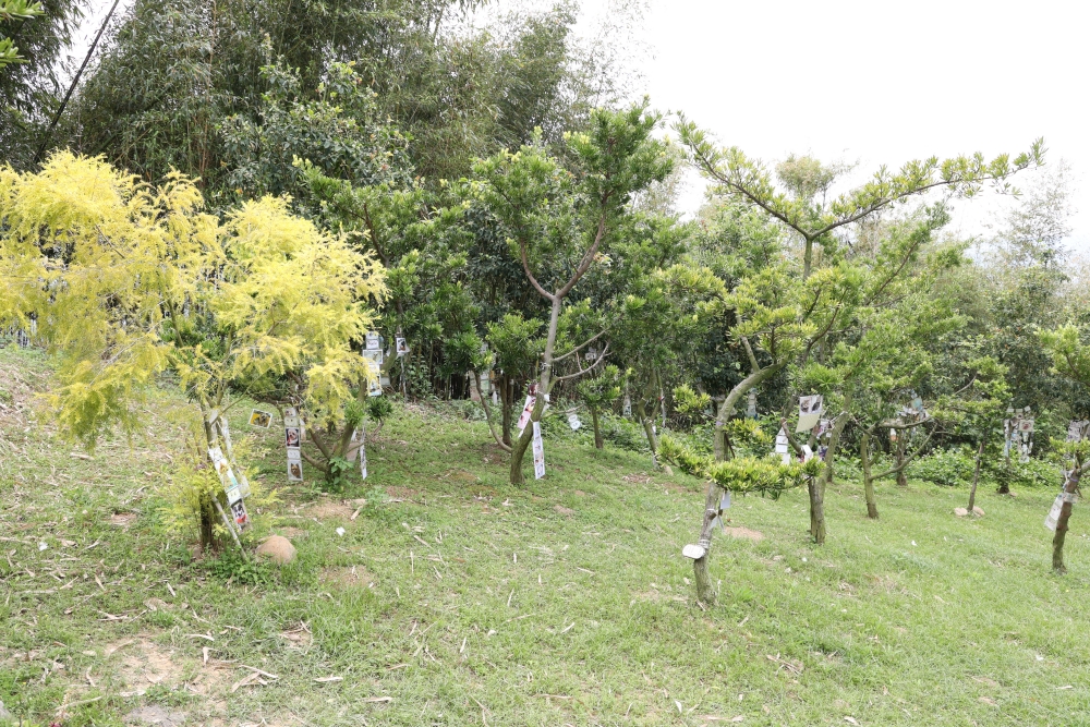 周家花園 森林系寵物安樂園 為生命畫下美麗句點