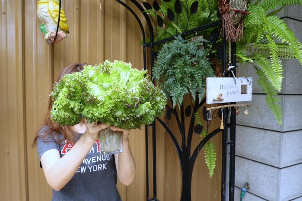 力芽咖啡 | 文心森林公園旁，貓頭鷹與綠植的輕食咖啡廳，還有超大戶外遊戲空間！