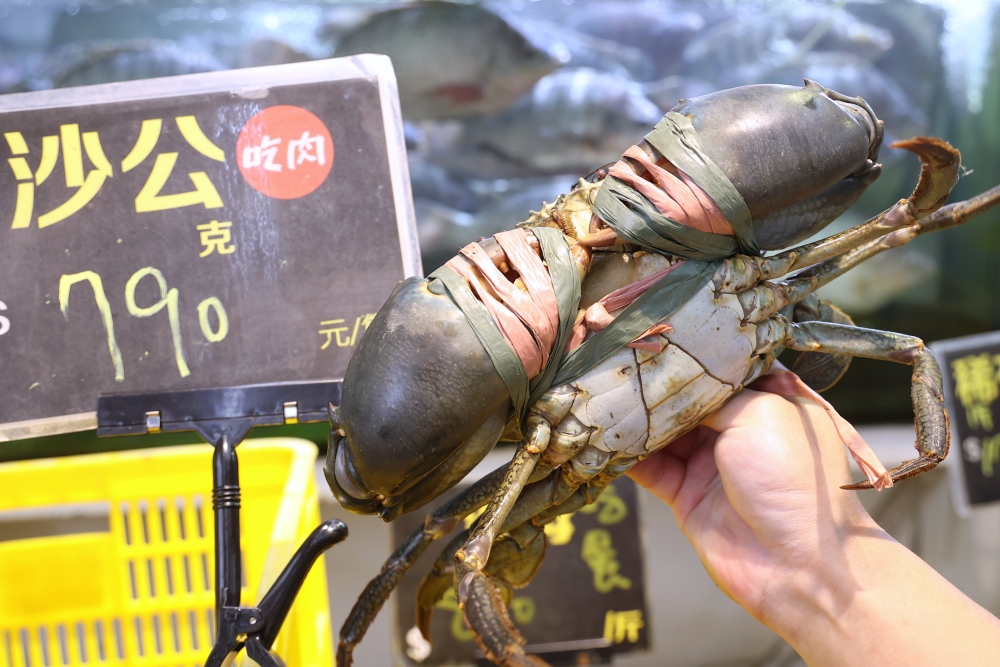 阿布潘水產 | 台中最多種類「活秋蟹」，輕鬆料理奢華螃蟹大餐，漁船新鮮直送，肥美優惠價一次飽嚐！