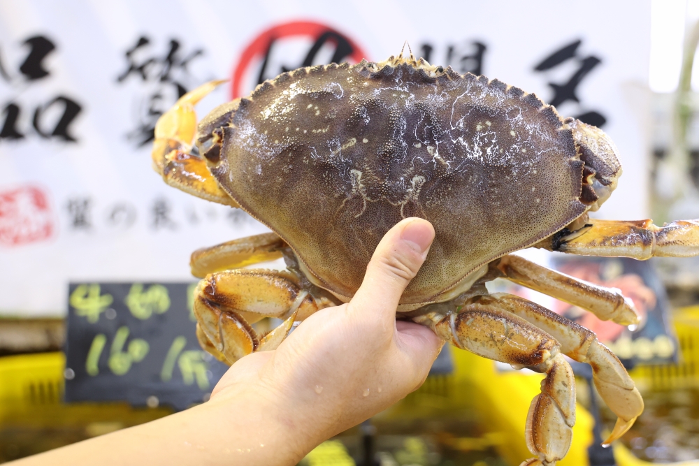 阿布潘水產 | 台中最多種類「活秋蟹」，輕鬆料理奢華螃蟹大餐，漁船新鮮直送，肥美優惠價一次飽嚐！