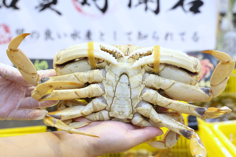 阿布潘水產 | 台中最多種類「活秋蟹」，輕鬆料理奢華螃蟹大餐，漁船新鮮直送，肥美優惠價一次飽嚐！