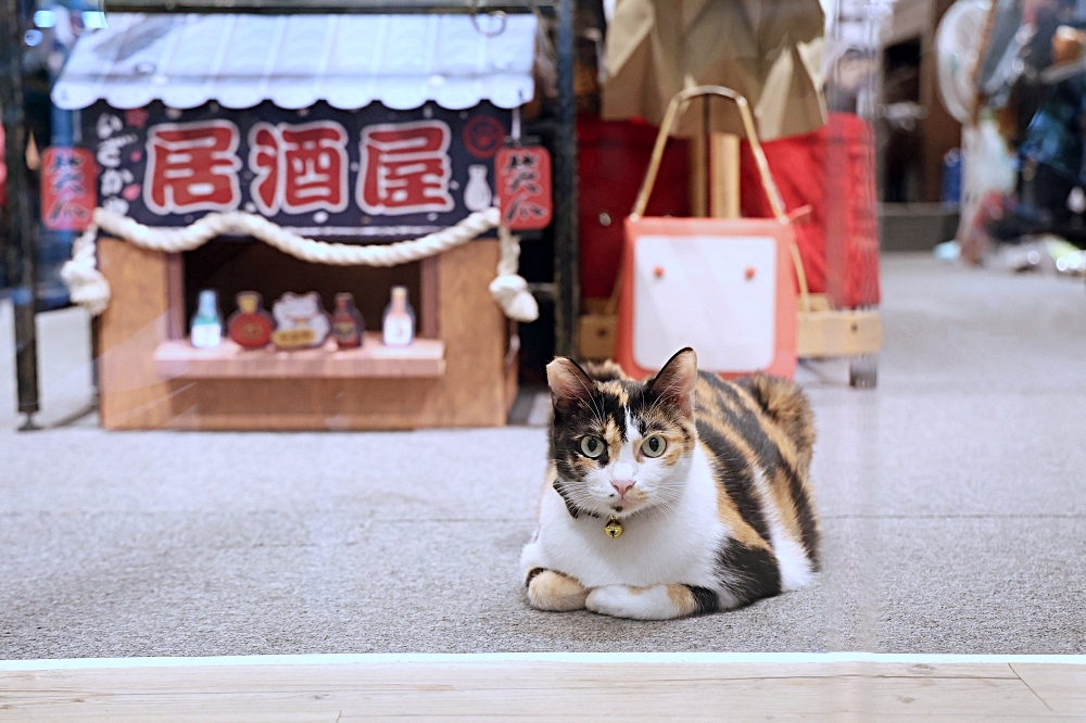 大隆路商圈 | 綠隧道下的歐風商圈，異國美食、日雜選物店、日韓精品，口碑好的台中商圈！