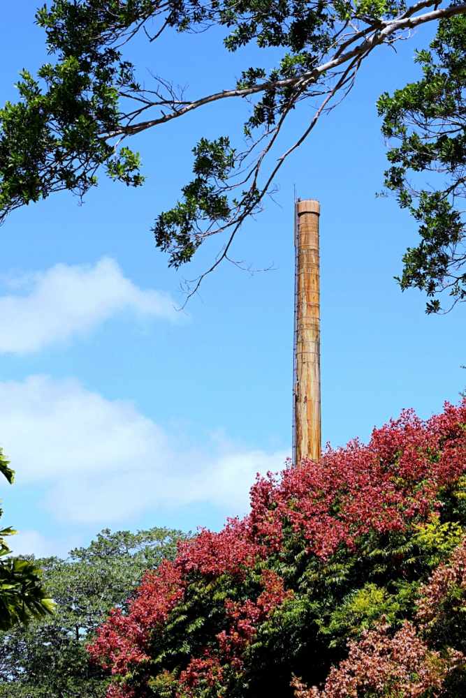 苗栗半日遊 | 苑裡小旅行，山腳社區藺草DIY、山腳國小日治宿舍群、濟陽堂老宅、全台最長隧道窯金良興觀光磚廠