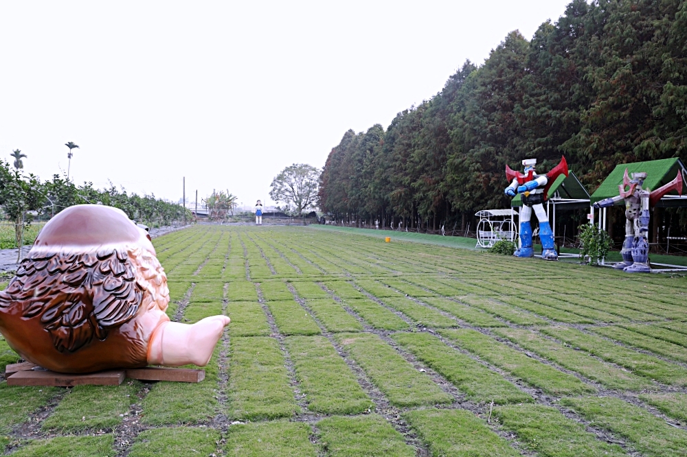 田中窯創意園區 | 2023蜀葵花海大進化，桶烤雞、落羽松、迎賓貓咪、千坪花園，中部走春景點推薦！