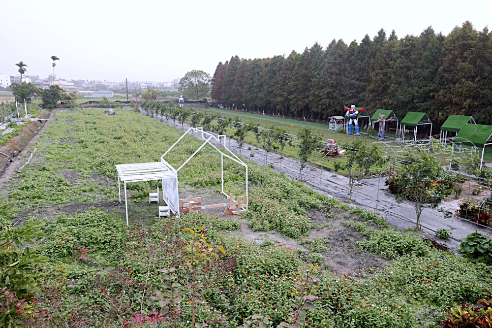 田中窯創意園區 | 2023蜀葵花海大進化，桶烤雞、落羽松、迎賓貓咪、千坪花園，中部走春景點推薦！