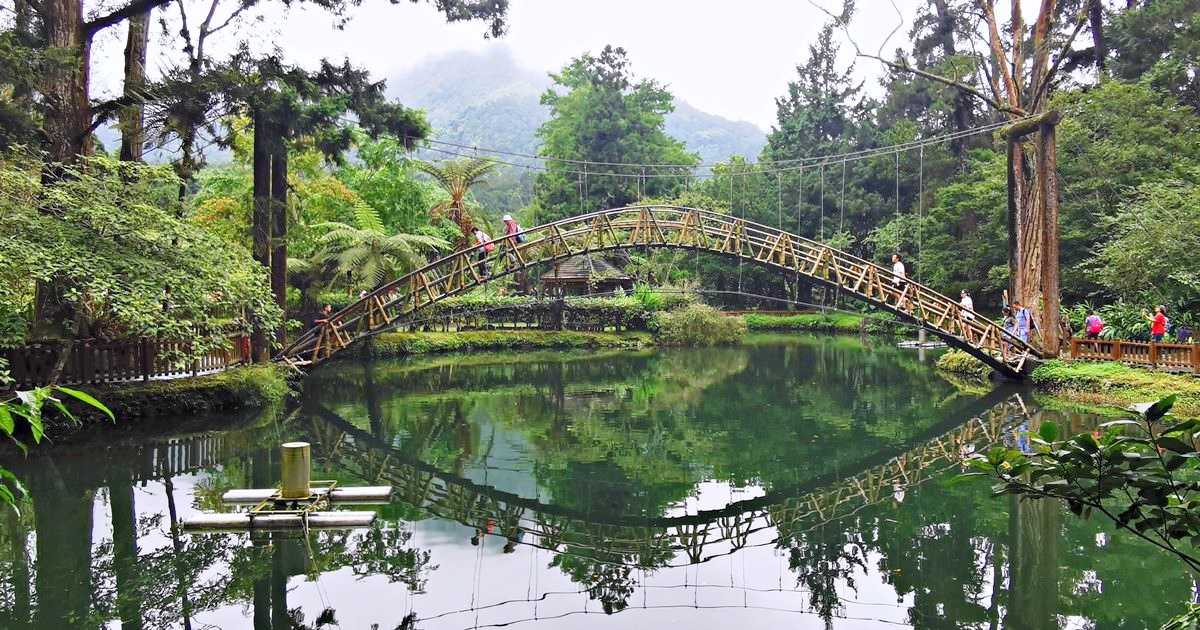 南投賞櫻景點 | 八卦茶園櫻花盛開，櫻花隧道配著茶園浪漫滿點！