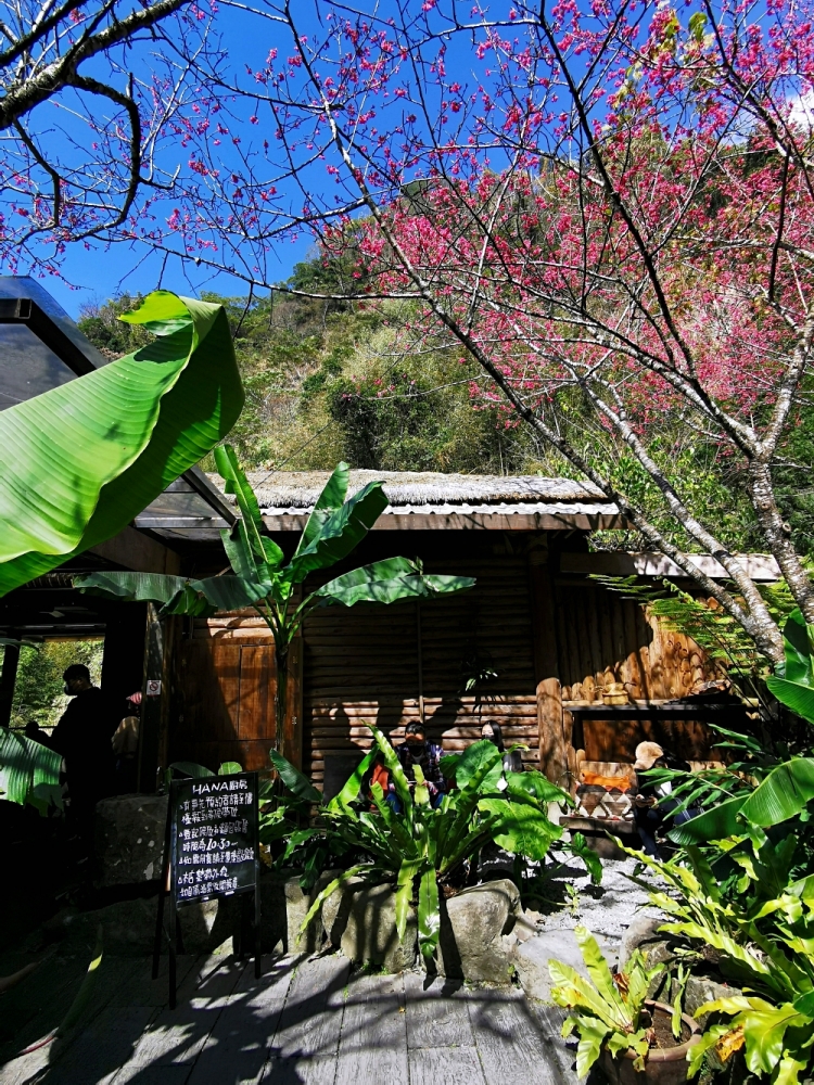 HANA廚房 | 遺落在阿里山裡的美食秘境，來吉部落廚房景色絕美，鄒族與南非美食好有特色！