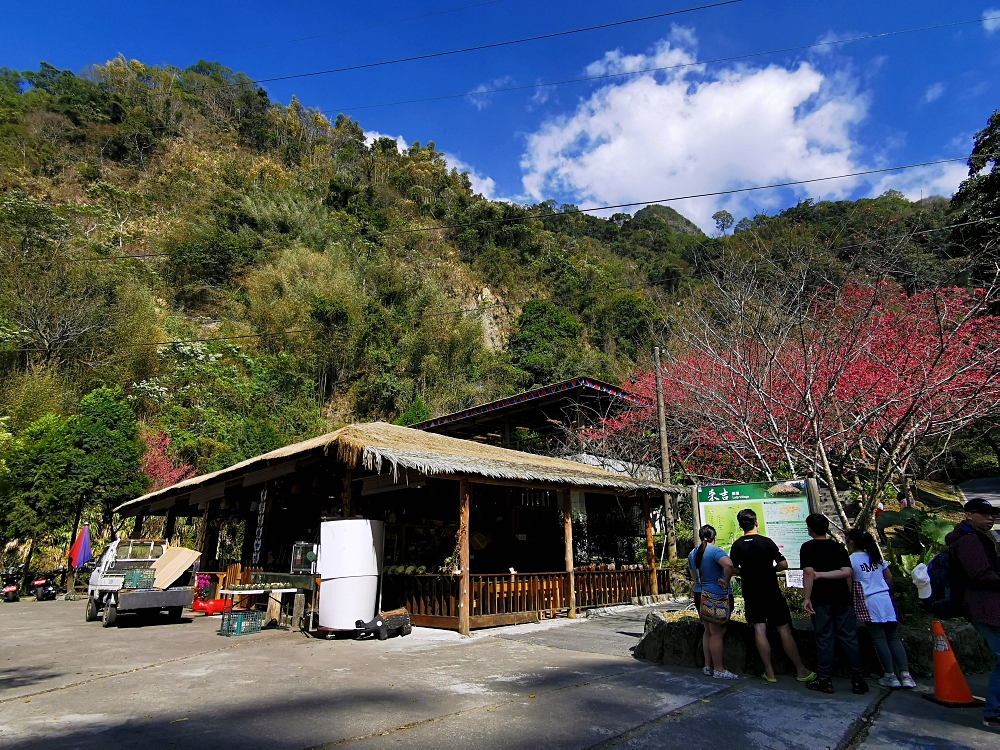 HANA廚房 | 遺落在阿里山裡的美食秘境，來吉部落廚房景色絕美，鄒族與南非美食好有特色！