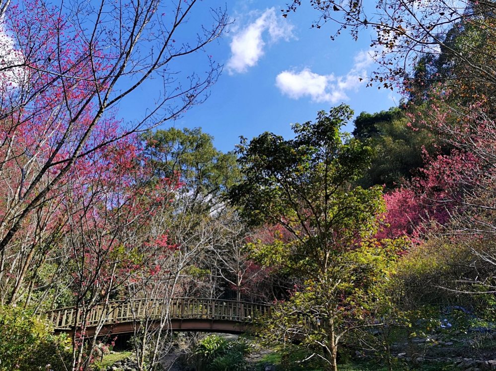 HANA廚房 | 遺落在阿里山裡的美食秘境，來吉部落廚房景色絕美，鄒族與南非美食好有特色！