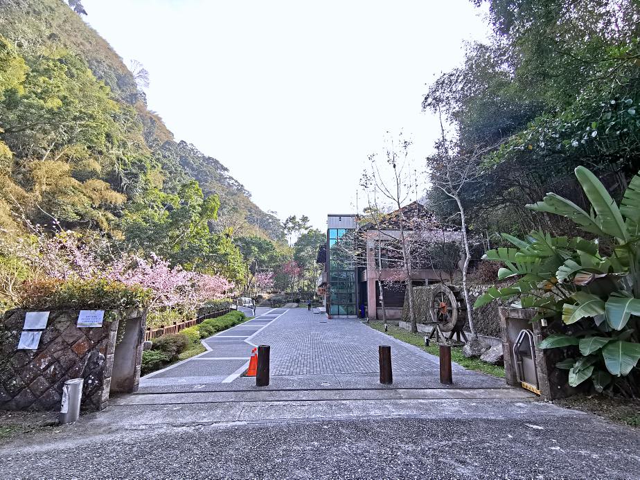 圓潭自然生態園區 | 入門級森林瀑布步道，平坦好走還能賞櫻花賞螢火蟲，嘉義免門票景點