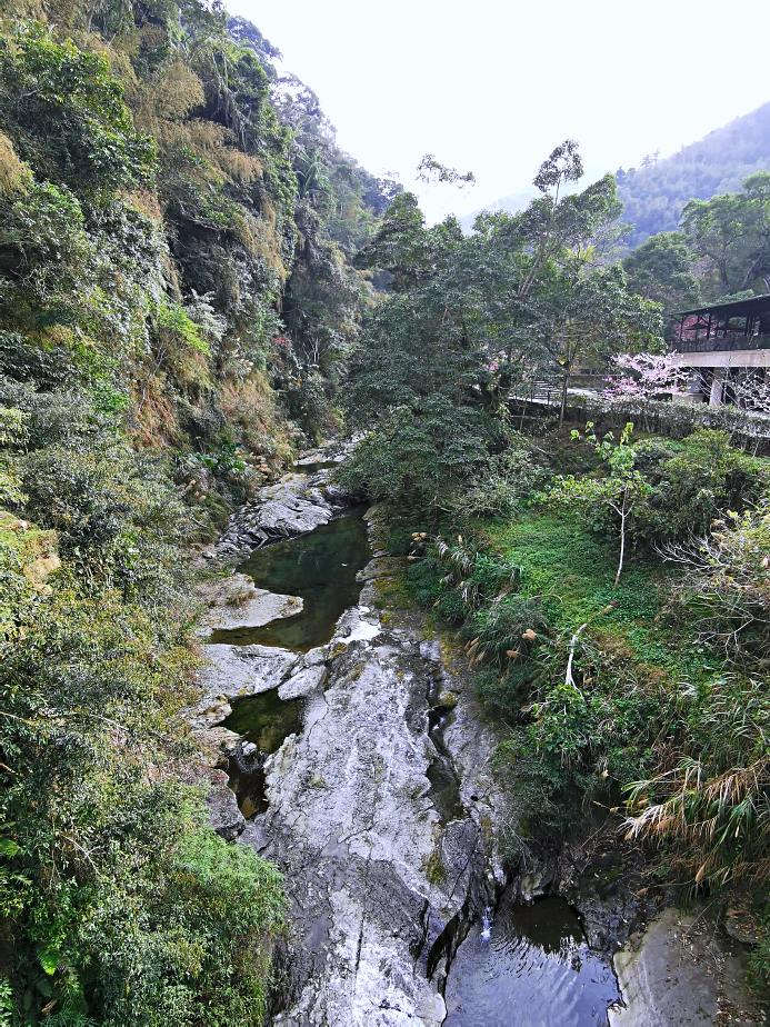 圓潭自然生態園區 | 入門級森林瀑布步道，平坦好走還能賞櫻花賞螢火蟲，嘉義免門票景點