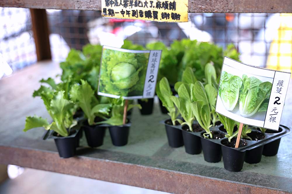 都市農夫看過來！南屯老街最接地氣的菜苗園，全成種苗園、順益種子行，時令菜苗、種子、農藥全都有！