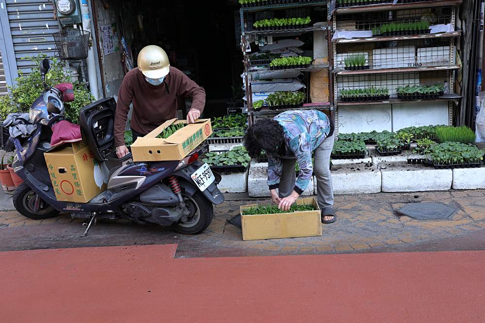 都市農夫看過來！南屯老街最接地氣的菜苗園，全成種苗園、順益種子行，時令菜苗、種子、農藥全都有！