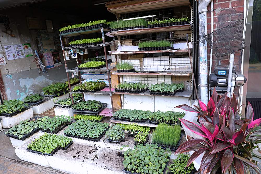 都市農夫看過來！南屯老街最接地氣的菜苗園，全成種苗園、順益種子行，時令菜苗、種子、農藥全都有！