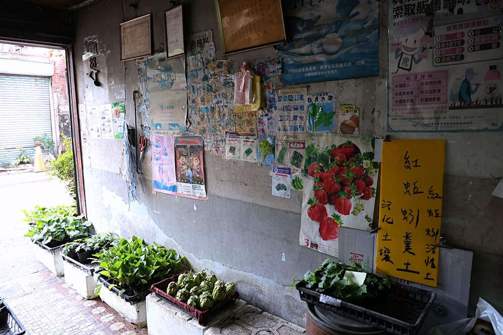 都市農夫看過來！南屯老街最接地氣的菜苗園，全成種苗園、順益種子行，時令菜苗、種子、農藥全都有！