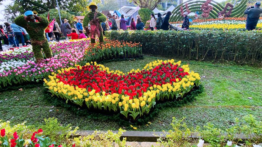 超過13萬株鬱金香花海！士林官邸鬱金香展，日期、門票、交通整理在這裡！