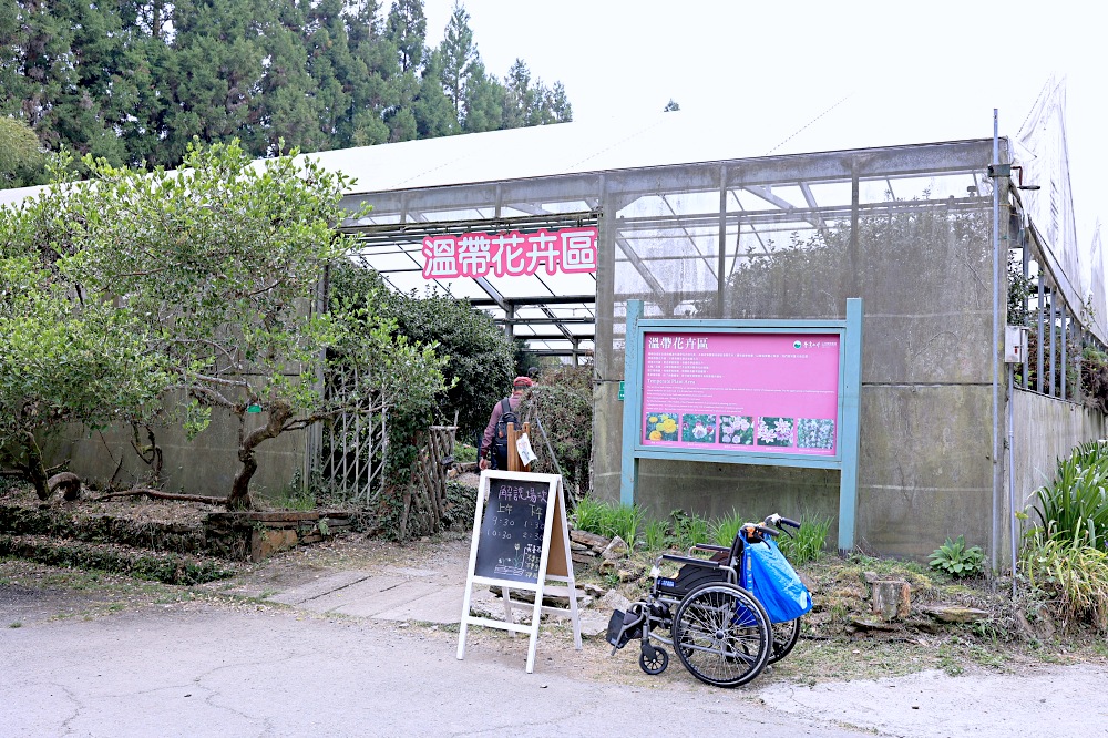 臺大山地實驗農場 | 梅峰農場春之饗宴，交通門票景點一次介紹！清境農場景點推薦！