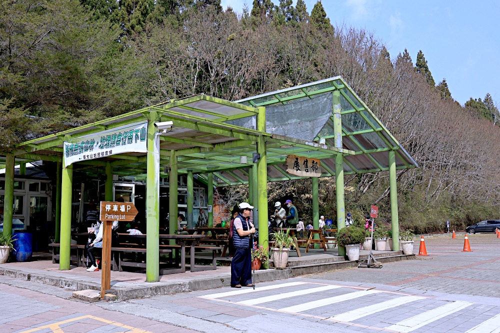 臺大山地實驗農場 | 梅峰農場春之饗宴，交通門票景點一次介紹！清境農場景點推薦！