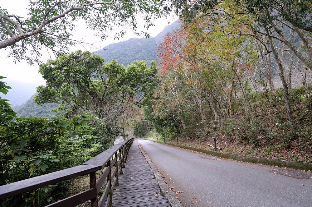 太魯閣部落灣住宿 | 群山環抱的原住民風小木屋，住在太魯閣國家公園裡享受天籟！