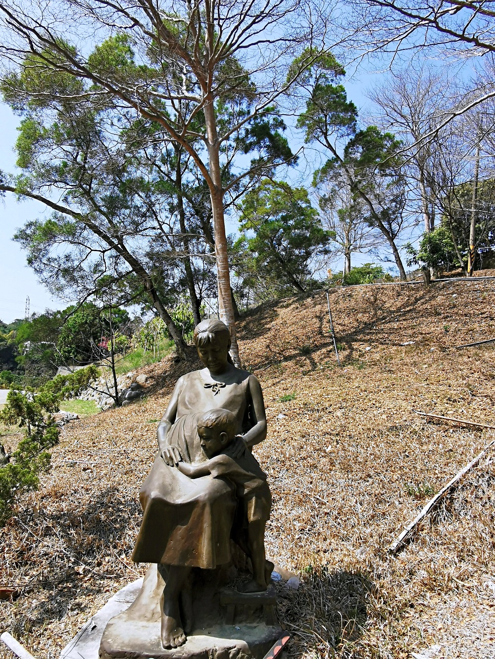 鳥嘴潭人工湖周邊景點｜國6東草屯交流道旁的獅象山，從山腰俯看鳥嘴潭，還有濟公行舍觀音佛寺，東草屯休息站營運中