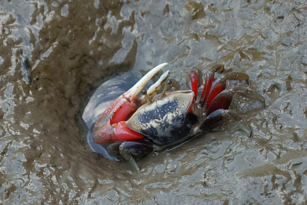 麗水驛站 | 百年麗水漁港遇見藍白地中海風希臘鐘樓，龍井景點推薦