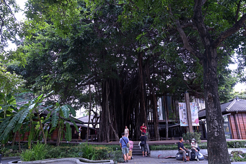 幸卉文學咖啡 | 台中文學館老榕樹下台中老宅咖啡館，舊時光裡不限時咖啡館